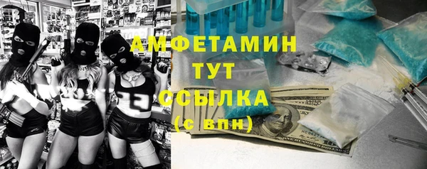 прущие грибы Алзамай