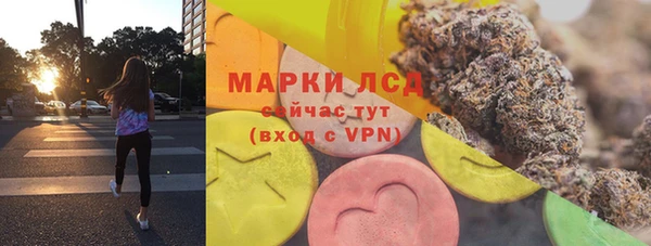 прущие грибы Алзамай